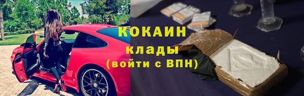 индика Армянск