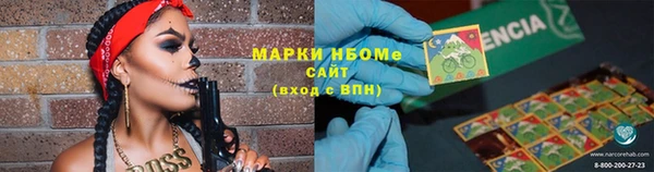 индика Армянск