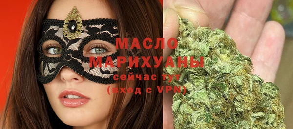индика Армянск