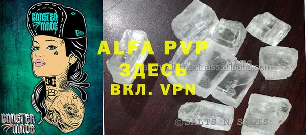 индика Армянск