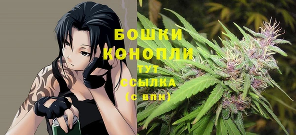 винт Аркадак
