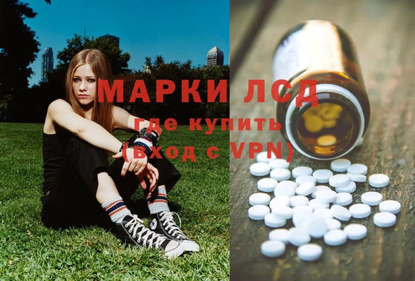 спайс Арсеньев
