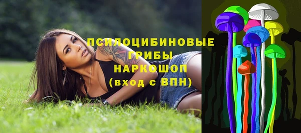 винт Аркадак