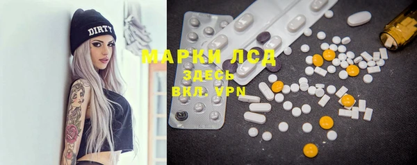 индика Армянск